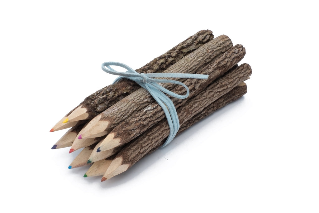 Bunch of Branch Twig Color Pencils - Set of 10 with Blue Wrap image 0