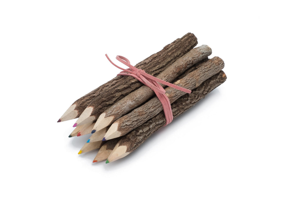 Bunch of Branch Twig Color Pencils - Set of 10 with Pink Wrap image 0