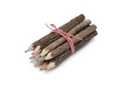 Bunch of Branch Twig Color Pencils - Set of 10 with Pink Wrap image 0