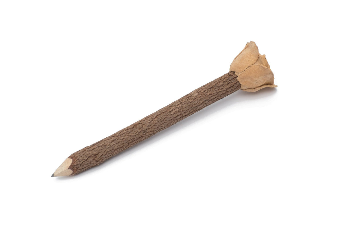 Rose Pencil image 0