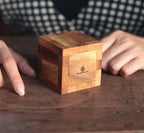 Houdini's Challenge with 2 Dice image 1