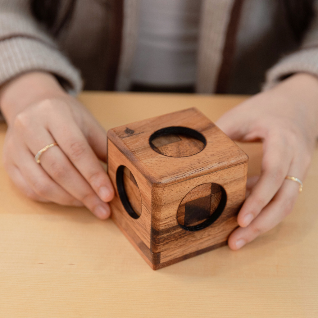 Cube Puzzle