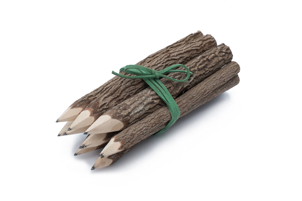 Bunch of Branch Twig Black Pencils - Set of 10 with Green Wrap image 0