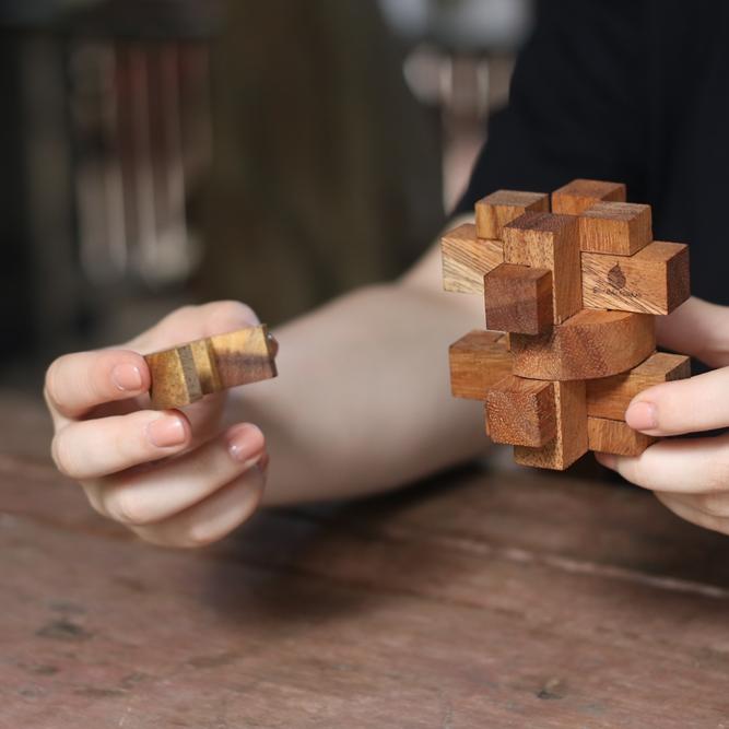 The Cog image 2
