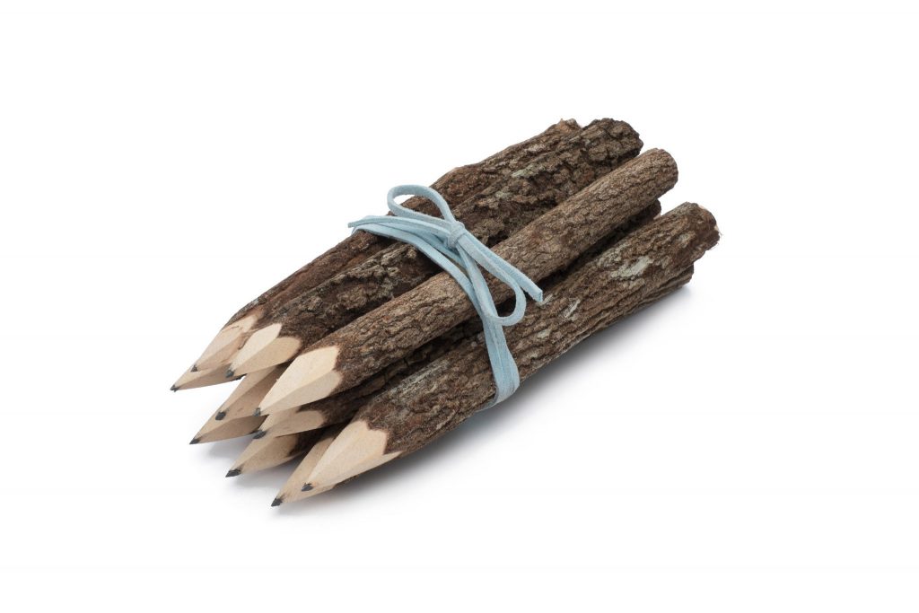 Twig Pencil Tree Bark Pencil Tree Branch Pencils